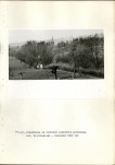 Ewidencja parkowa, skan nr 55