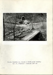 Ewidencja parkowa, skan nr 59