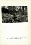 Ewidencja parkowa, skan nr 61