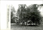 EP - Ewidencja parkowa, skan nr 34