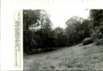 EP - Ewidencja parkowa, skan nr 44