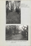 Ewidencja parkowa, skan nr 38