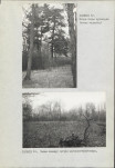 Ewidencja parkowa, skan nr 40