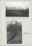 Ewidencja parkowa, skan nr 44