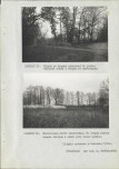 Ewidencja parkowa, skan nr 47