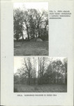 EP - Ewidencja parkowa, skan nr 22
