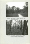 EP - Ewidencja parkowa, skan nr 26