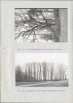 EP - Ewidencja parkowa, skan nr 34