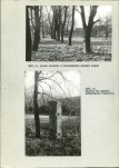 EP - Ewidencja parkowa, skan nr 28