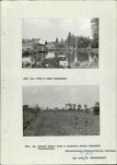 EP - Ewidencja parkowa, skan nr 33
