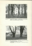 Ewidencja parkowa, skan nr 34