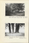 Ewidencja parkowa, skan nr 49