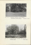 Ewidencja parkowa, skan nr 50