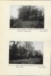 Ewidencja parkowa, skan nr 52