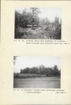 Ewidencja parkowa, skan nr 54