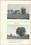 Ewidencja parkowa, skan nr 22