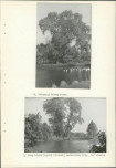 Ewidencja parkowa, skan nr 23