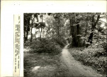 EP - Ewidencja parkowa, skan nr 40