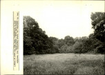 EP - Ewidencja parkowa, skan nr 41