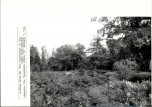 EP - Ewidencja parkowa, skan nr 30