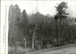 EP - Ewidencja parkowa, skan nr 32