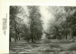 Ewidencja parkowa, skan nr 34