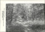 Ewidencja parkowa, skan nr 40