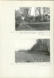 Ewidencja parkowa, skan nr 36