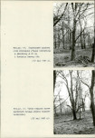 Ewidencja parkowa, skan nr 46