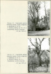 Ewidencja parkowa, skan nr 48
