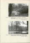 Ewidencja parkowa, skan nr 49