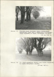 Ewidencja parkowa, skan nr 50