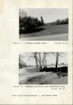 Ewidencja parkowa, skan nr 52