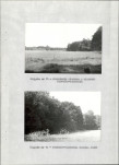 EP - Ewidencja parkowa, skan nr 32