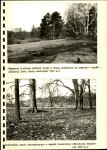 EP - Ewidencja parkowa, skan nr 56