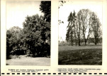 EP - Ewidencja parkowa, skan nr 57