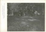 Ewidencja parkowa, skan nr 50