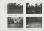 Ewidencja parkowa, skan nr 53
