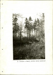 Ewidencja parkowa, skan nr 60