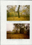 Ewidencja parkowa, skan nr 60