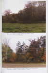 EP - Ewidencja parkowa, skan nr 32