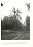 EP - Ewidencja parkowa, skan nr 48
