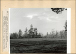 Ewidencja parkowa, skan nr 14