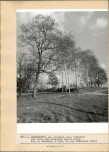 EP - Ewidencja parkowa, skan nr 11