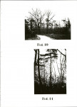 EP - Ewidencja parkowa, skan nr 41