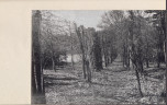 Ewidencja parkowa, skan nr 38