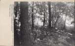Ewidencja parkowa, skan nr 23