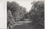 Ewidencja parkowa, skan nr 32