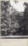 Ewidencja parkowa, skan nr 34