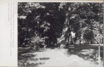 Ewidencja parkowa, skan nr 36
